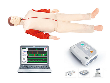ALS1000 高级心肺复苏、AED除颤模拟人