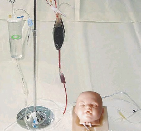 高级婴儿头部静脉穿刺训练模型(双侧）