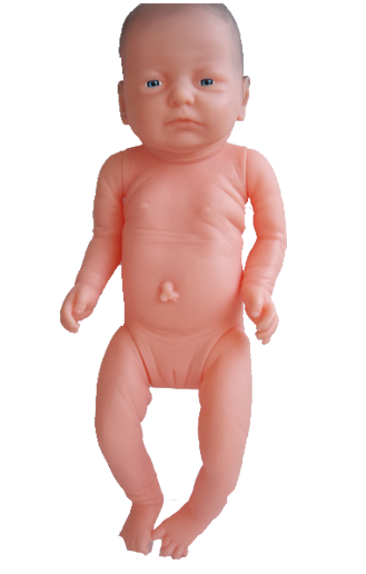 足月婴儿模型(婴儿护理模型BIX-FT1 