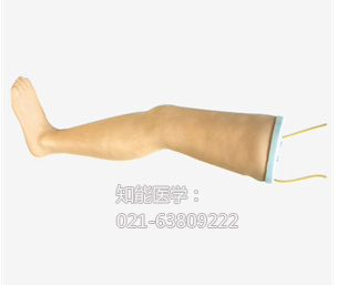 高级静脉输液腿模型BIX-HS16 