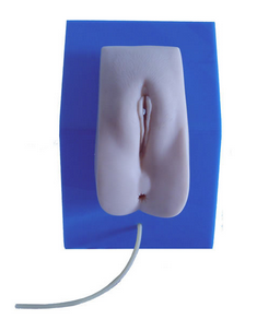 高级着装式女性导尿模型BIX-H28F