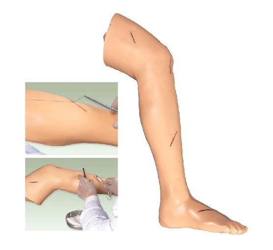 BIX-LF2高级外科腿部缝合训练模型