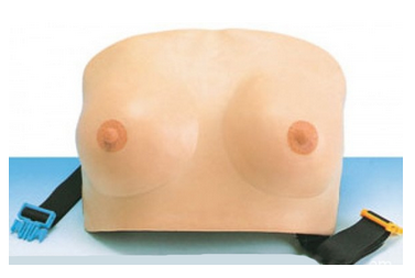 高级乳房检查模型穿戴式