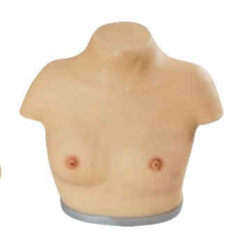 高级乳房检查模型穿戴式
